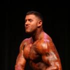 Brian  Ullo - NPC Southern Classic 2014 - #1